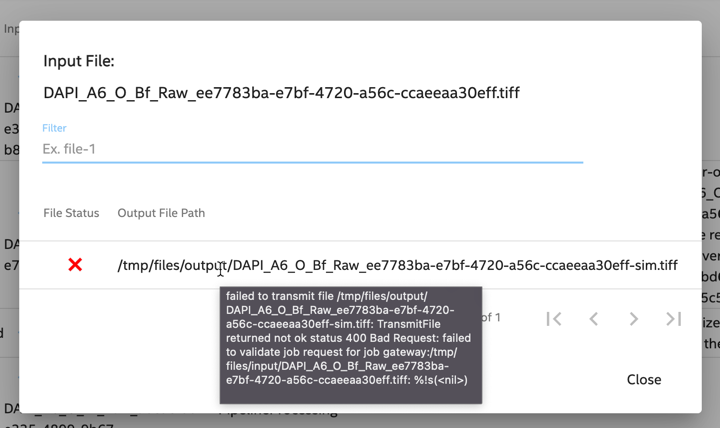 Figure 5: Output File Error Details Tool Tip